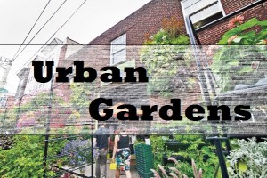 Urban Garden Towers