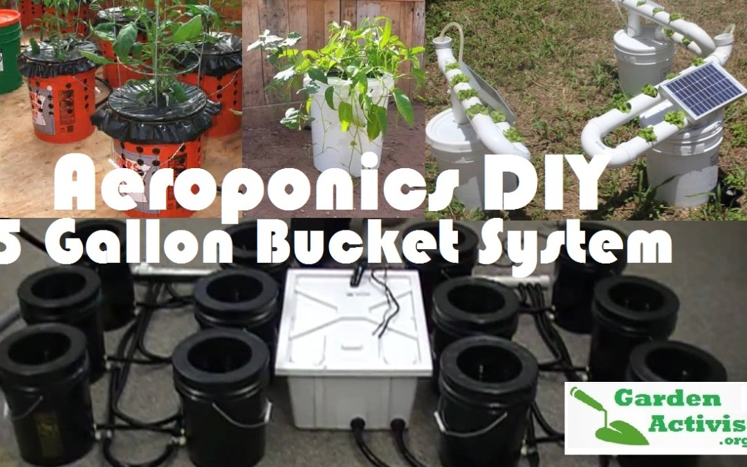 Aeroponics System: The DIY 5 Gallon Bucket